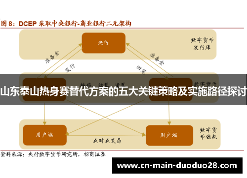 山东泰山热身赛替代方案的五大关键策略及实施路径探讨