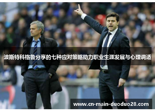波斯特科格鲁分享的七种应对策略助力职业生涯发展与心理调适 波斯特科格鲁分享的七种应对策略助力职业生涯发展与心理调适