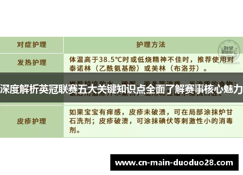 深度解析英冠联赛五大关键知识点全面了解赛事核心魅力