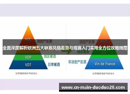 全面深度解析欧洲五大联赛风格差异与观赛入门实用全方位攻略指南