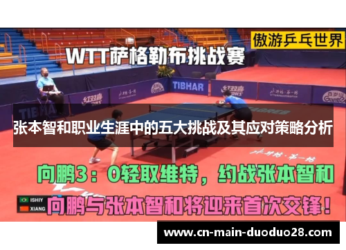 张本智和职业生涯中的五大挑战及其应对策略分析 张本智和职业生涯中的五大挑战及其应对策略分析