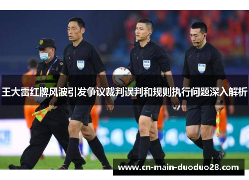 王大雷红牌风波引发争议裁判误判和规则执行问题深入解析
